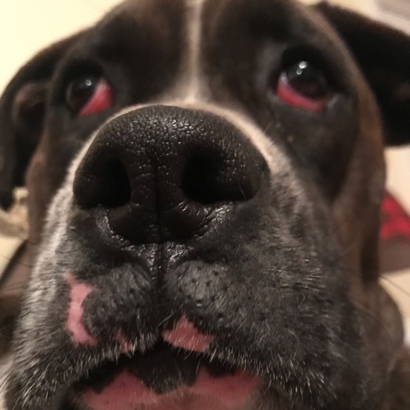 Meet your Posher, Brooke - Picture 1 of 1